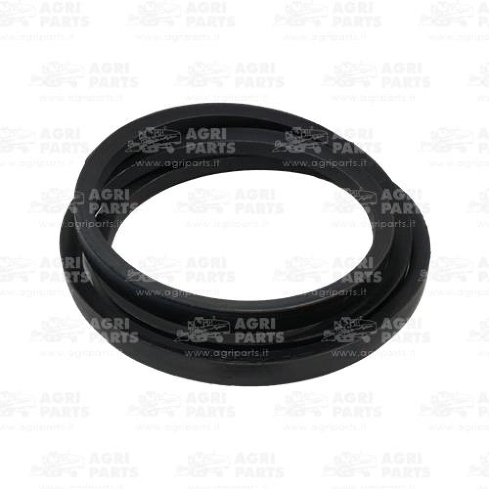 21AP016507 - CINGHIA - 21AP016507