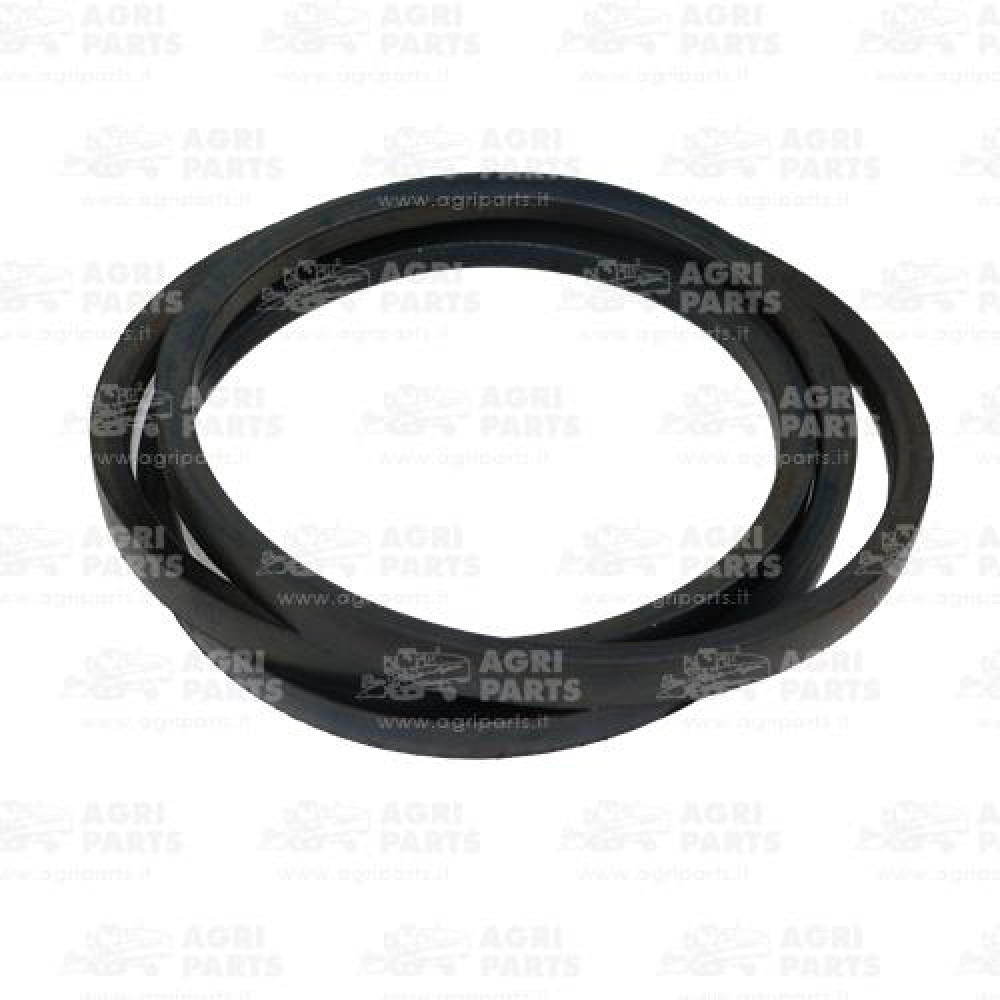 21AP016510 - CINGHIA - 21AP016510