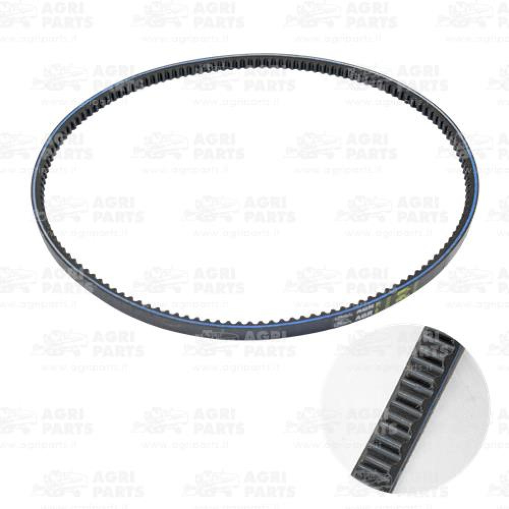 22AP016615 - CINGHIA - 22AP016615