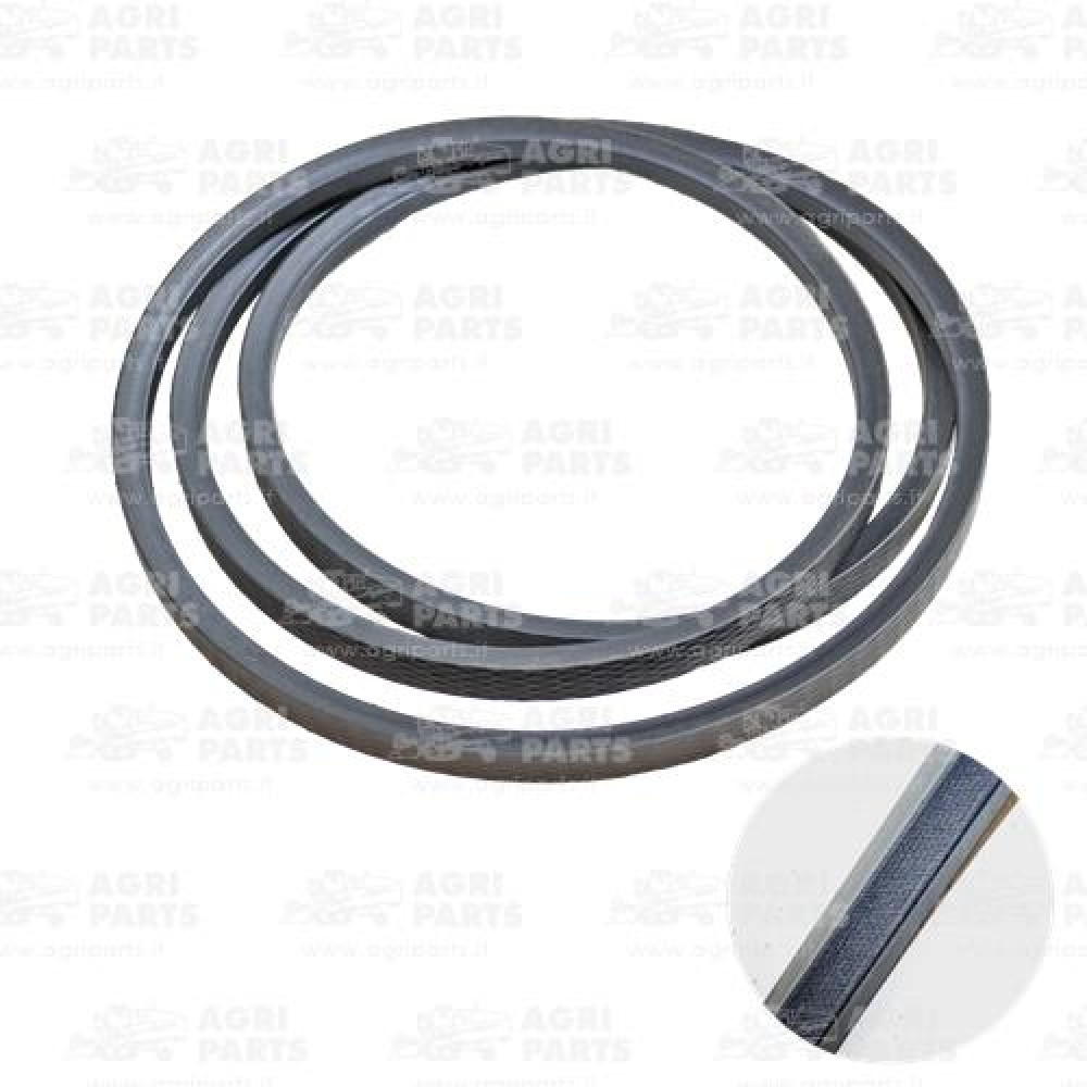 22AP016787 - CINGHIA - 22AP016787