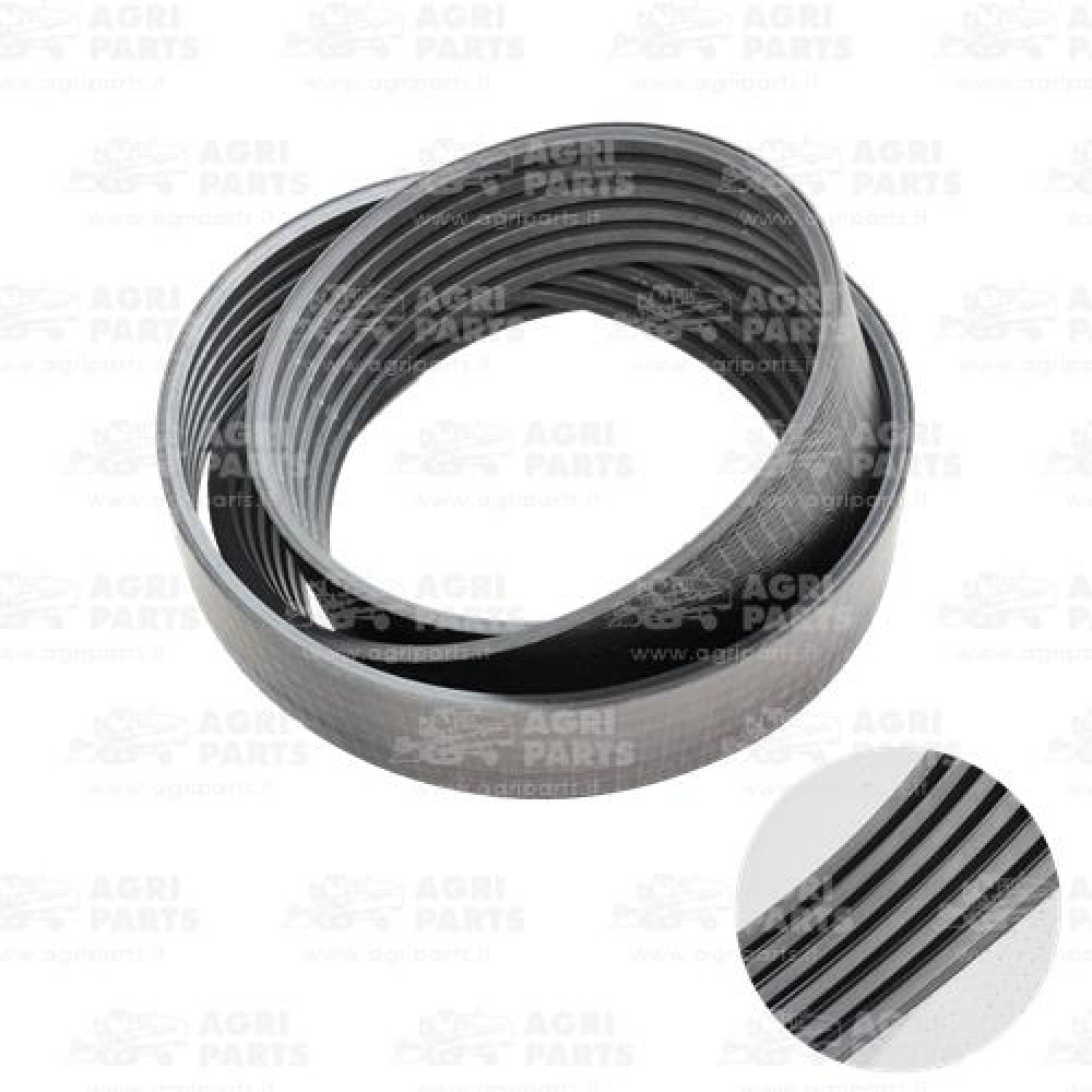 2168800 - CINGHIA - 2168800KR