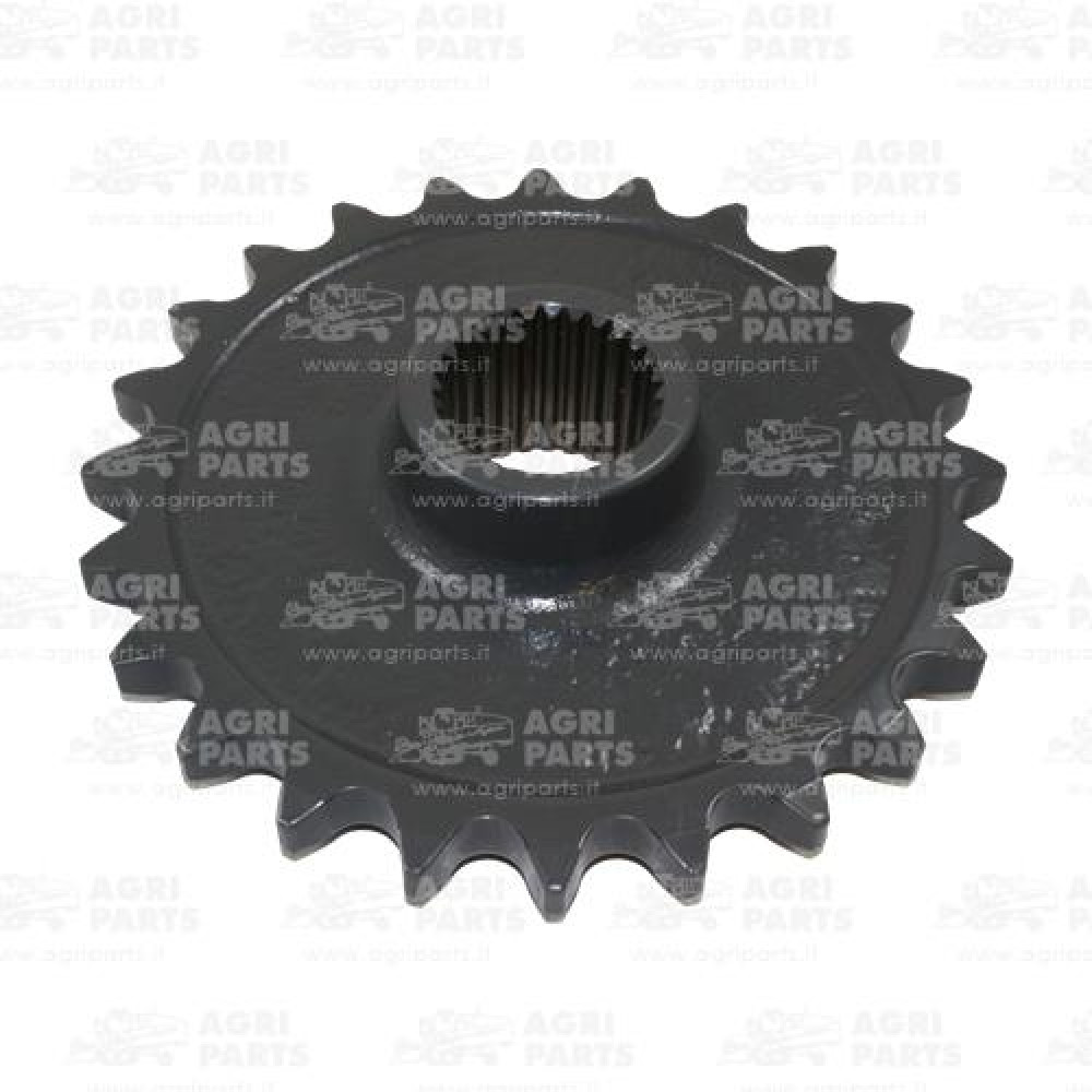 8580630 - PIGNON - 0008580630CL