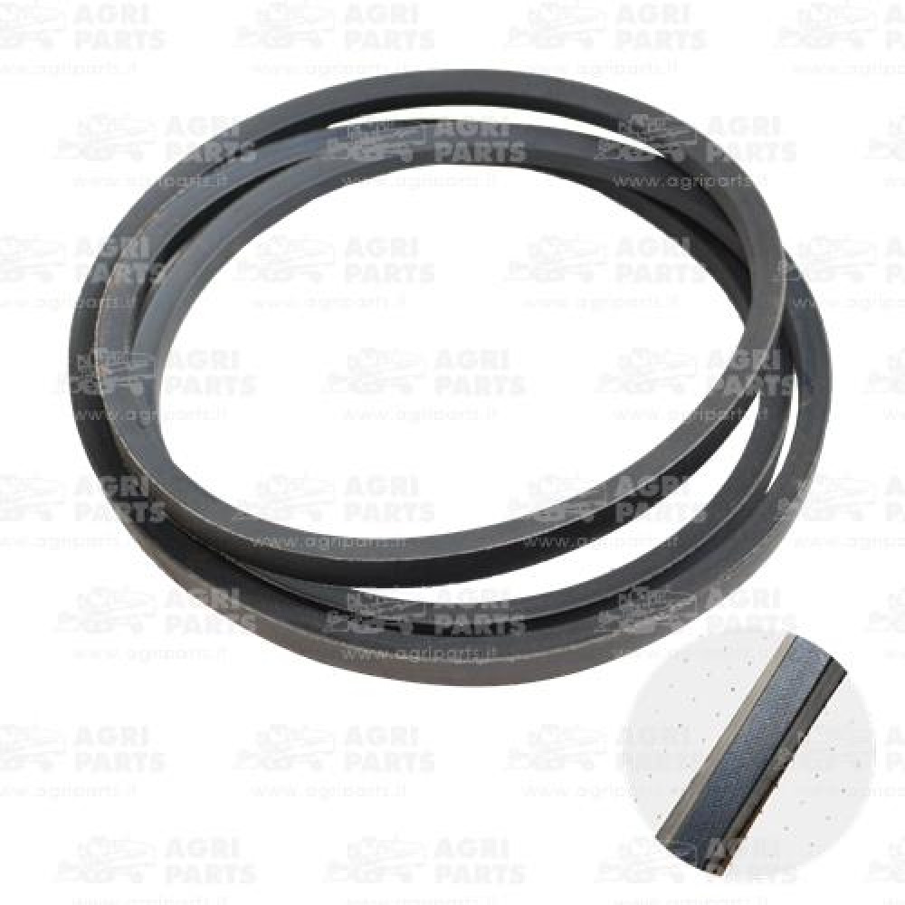 1146013 - BELT - 01146013DF