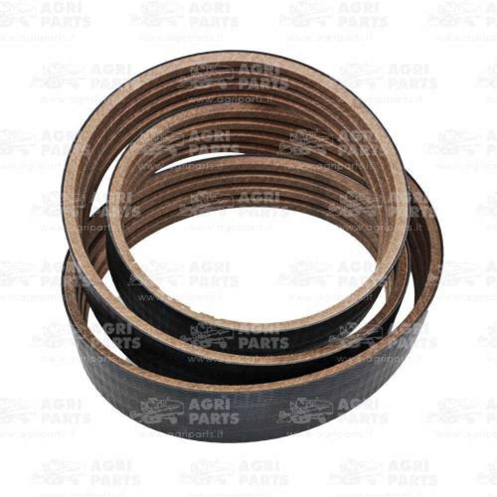 23AP017306 - MULTIPLE BELT - 23AP017306