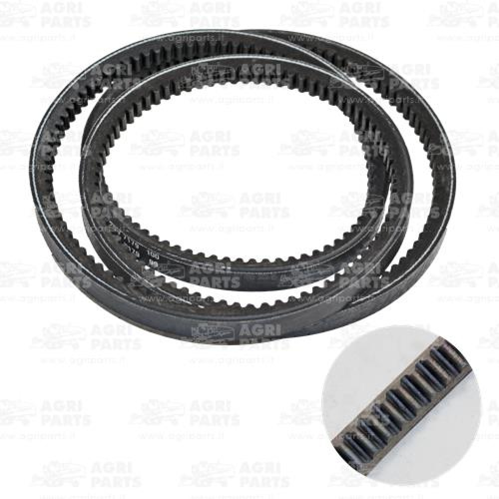 23AP017307 - RIEMEN - 23AP017307