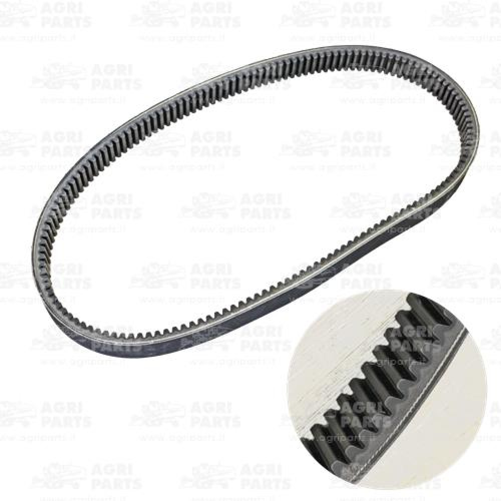 23AP017629 - MULTIPLE BELT - 23AP017629