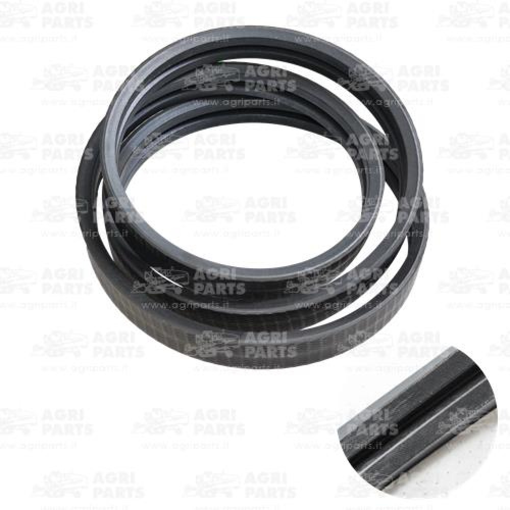 18076040 - CINGHIA - 0018076040CL