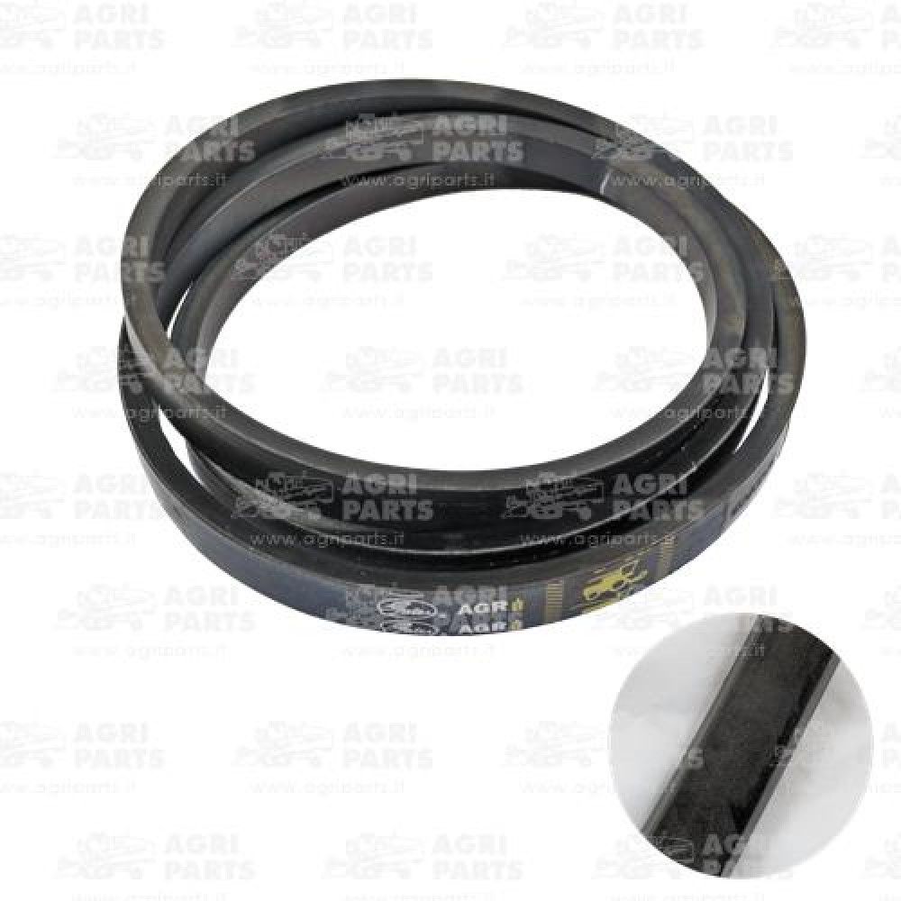 Z59344 - CINGHIA - Z59344JD