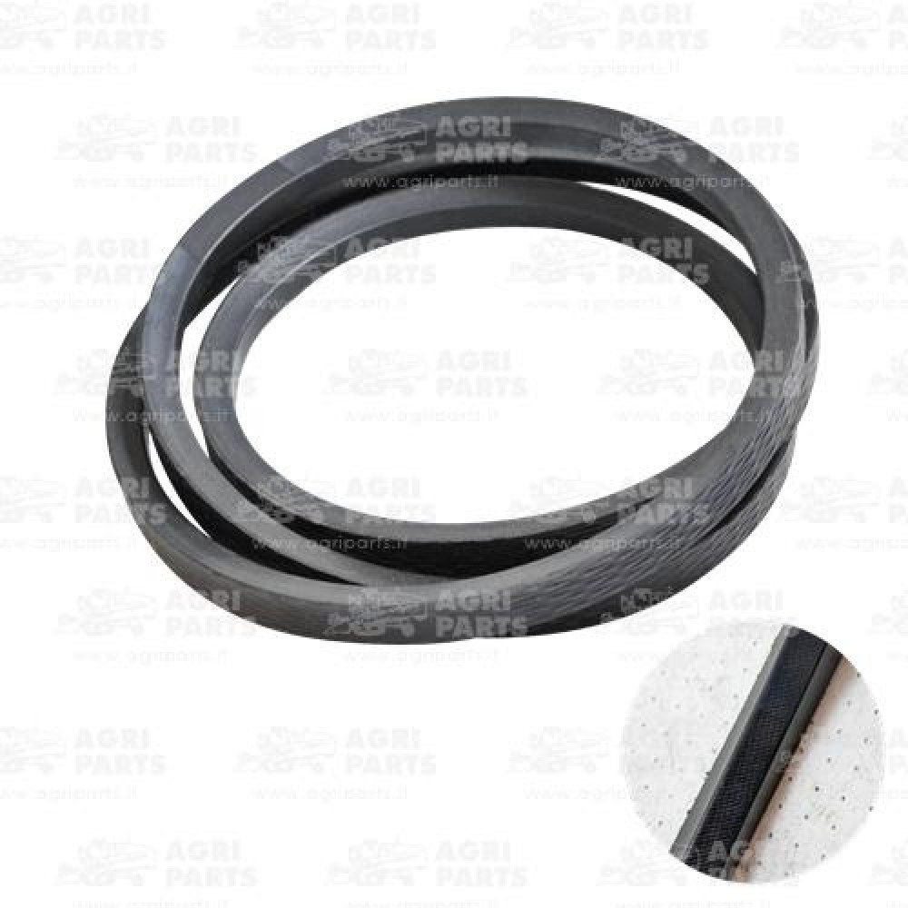 18072940 - CINGHIA - 0018072940CL