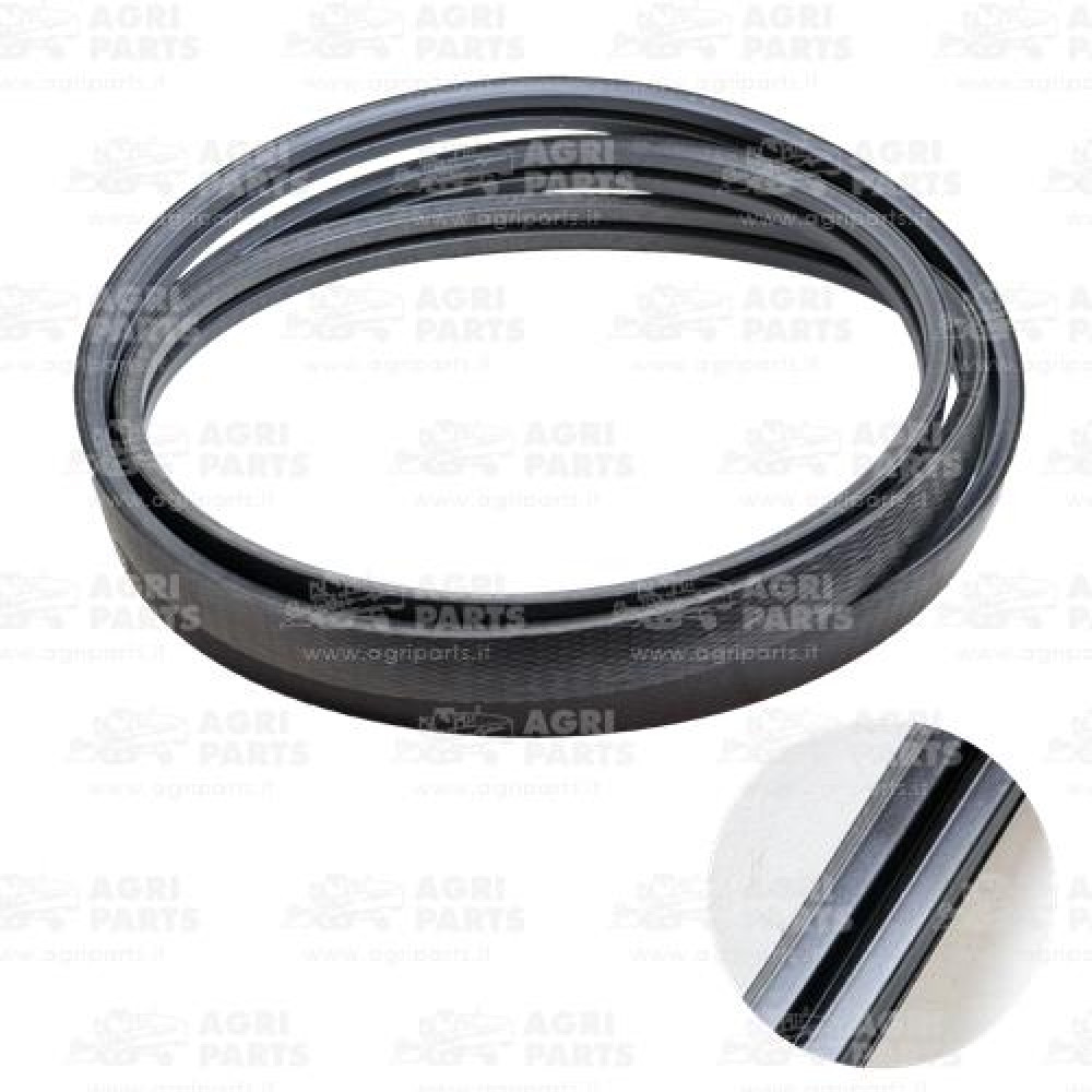 18076060 - COURROIE - 0018076060CL