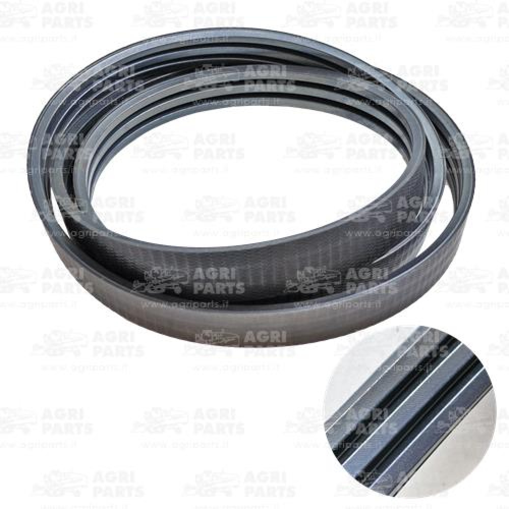 6287850 - CINGHIA - 0006287850CL