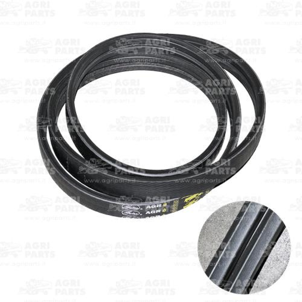 18073220 - CINGHIA - 0018073220CL