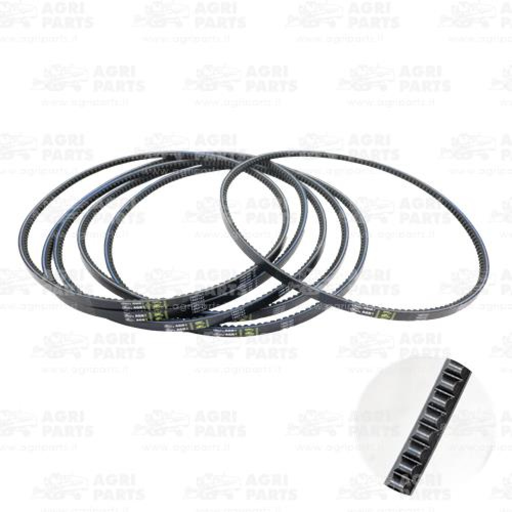 24AP018146 - BELT - 24AP018146